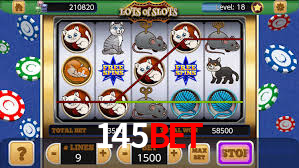 145bet App Interface